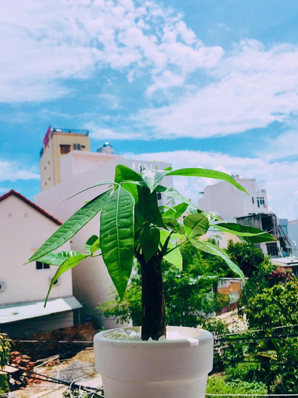 Huha Home - Da Nang Exterior foto